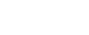 Immaculate Flight Logo_Alt Logo - White